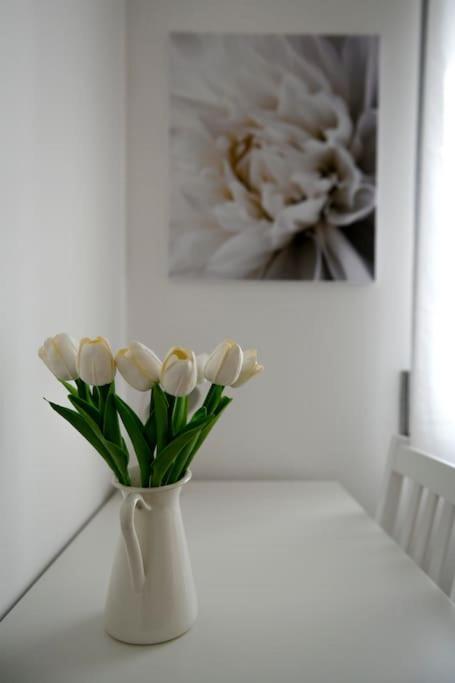 Apartament Peaceful Hideaway Rzym Zewnętrze zdjęcie